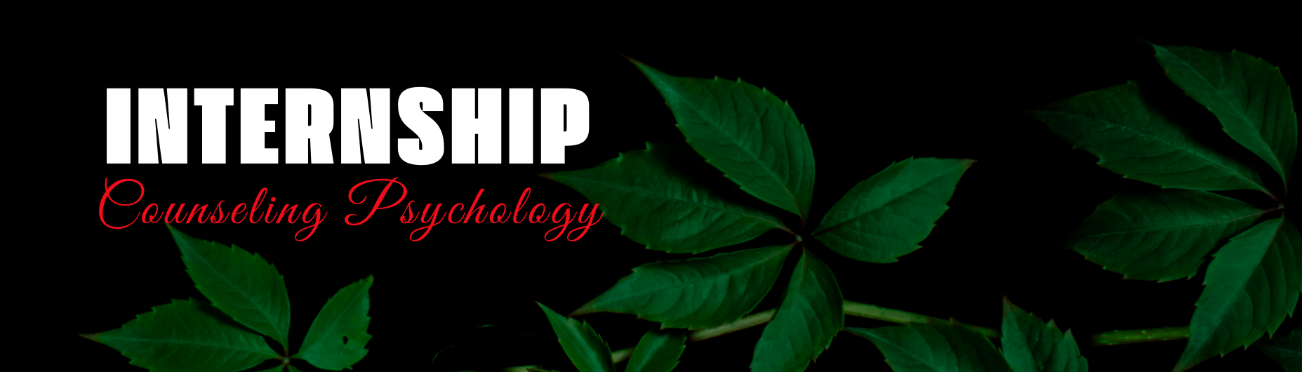 Counseling Psychology Internship