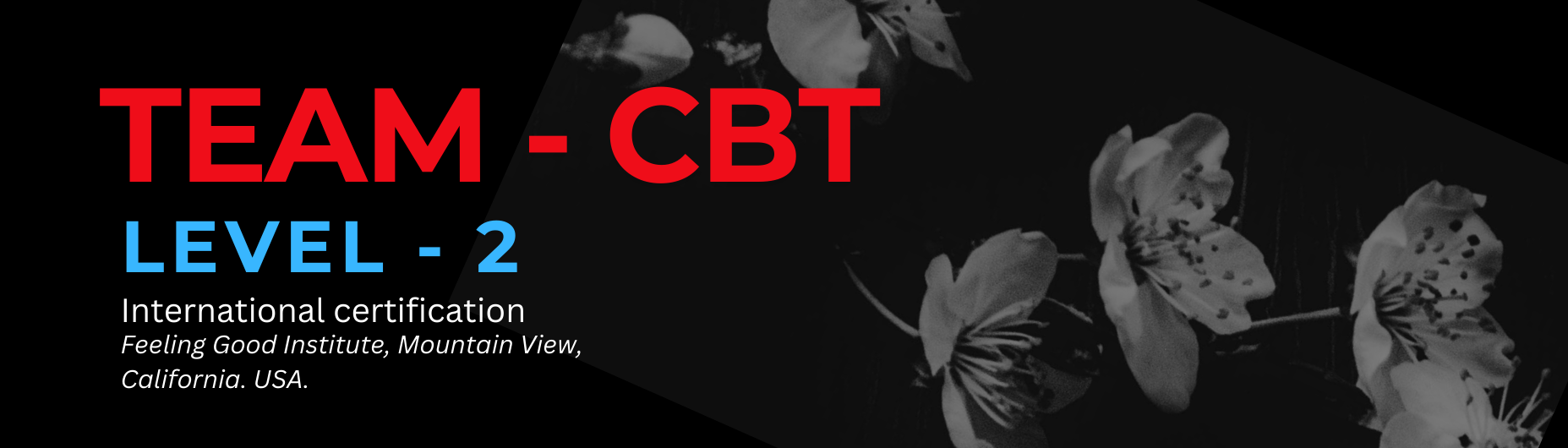 TEAM-CBT Level 2